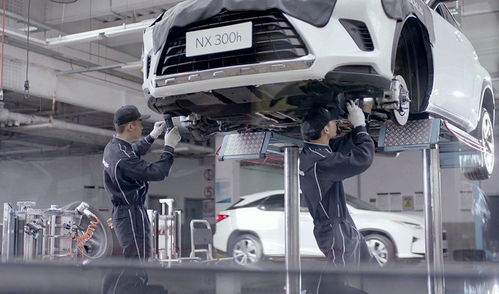 不想賺我們的錢？這個品牌火到加價，但為何不國產